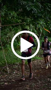 BIB:  <button type="button" onclick="openModal(27288066)" class="btn btn-primary btn-sm float-right" data-toggle="modal" data-target=".modal-high-quality">
                <i class="fa fa-download"></i> Download
                </button>